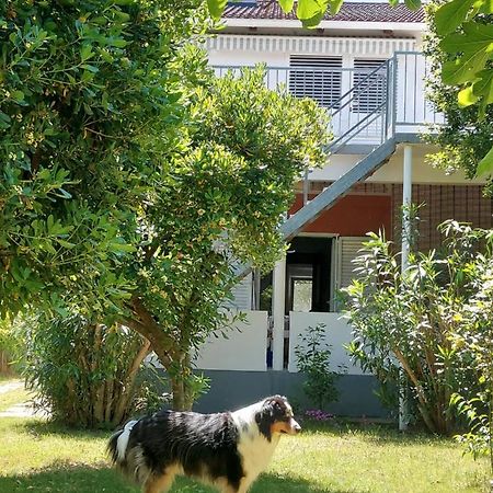 Apartmán .....Und Der Hund Darf Mit Privlaka  Exteriér fotografie