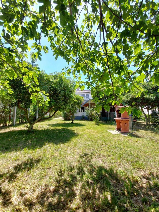 Apartmán .....Und Der Hund Darf Mit Privlaka  Exteriér fotografie